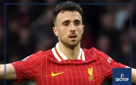 SBOTOP Tragedy in Spain: Liverpool Star Diogo Jota and Brother Killed in Suspected Fatal Car Crash
