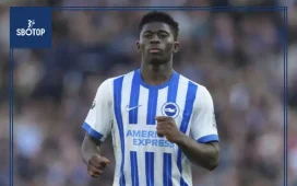 SBOTOP_ Brighton Deliver Clear Response to Manchester United’s Bid for Baleba