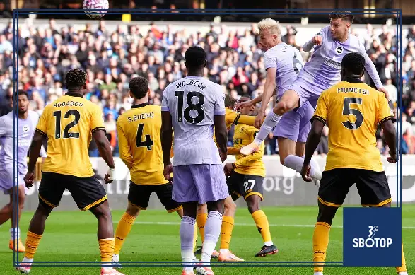 SBOTOP: Van Hecke’s Late Header Denies Wolves Victory as Pereira Sees Red in 1-1 Brighton Draw at Molineux