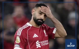 SBOTOP Liverpool Stars Absent as Newcastle Stun Man City: Premier League Hits and Misses