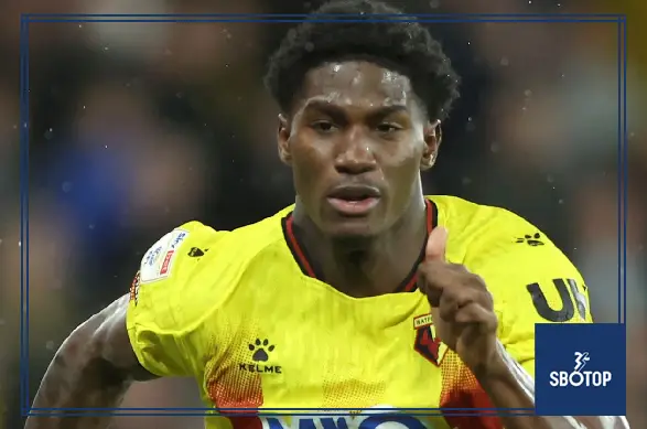 SBOTOP: Vivaldo Semedo's Late Equalizer Secures 1-1 Draw for Watford Against Sheffield Wednesday