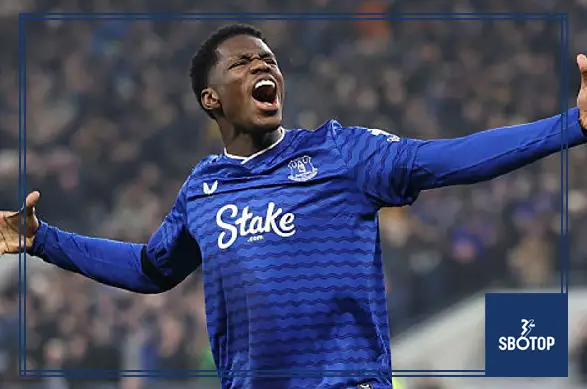 SBOTOP: Barry’s Premier League Streak Rescues Leeds as Everton Settle for a Share of the Spoils