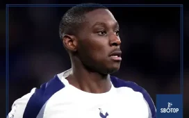 SBOTOP: Randal Kolo Muani Cleared to Play After Minor Incident as Tottenham Prepare for Frankfurt Clash