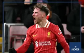 SBOTOP : Mac Allister’s Agent Addresses Speculation Linking His Son to Real Madrid Move