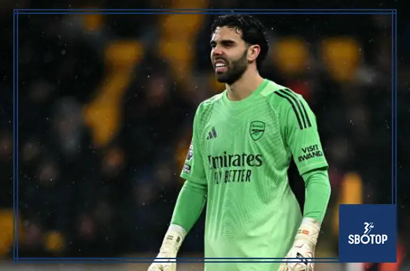 SBOTOP : Arsenal’s David Raya Almost Signed for Bayern Munich Before Final Decision
