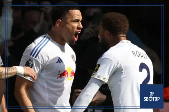 SBOTOP: Leeds Crush Wolves 3-0 to Move Closer to Safety as Daniel Farke’s Side Boost Survival Hopes and Wolves Near Relegation