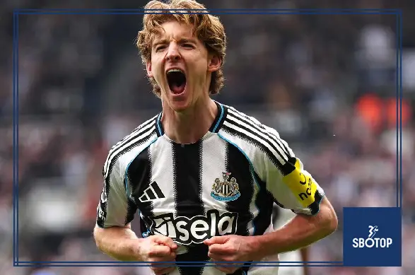 SBOTOP: Newcastle United Face Summer Shake-Up as Gordon Tonali and Livramento Emerge as Potential Exit Candidates