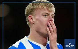 SBOTOP: Tottenham Secure Defensive Reinforcement as Jan Paul van Hecke Arrives from Brighton in £52m Transfer Deal