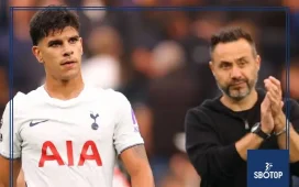 SBOTOP: Matheus Fernandes Opens Up on De Zerbi’s Passion and Tottenham’s Ambition for Silverware